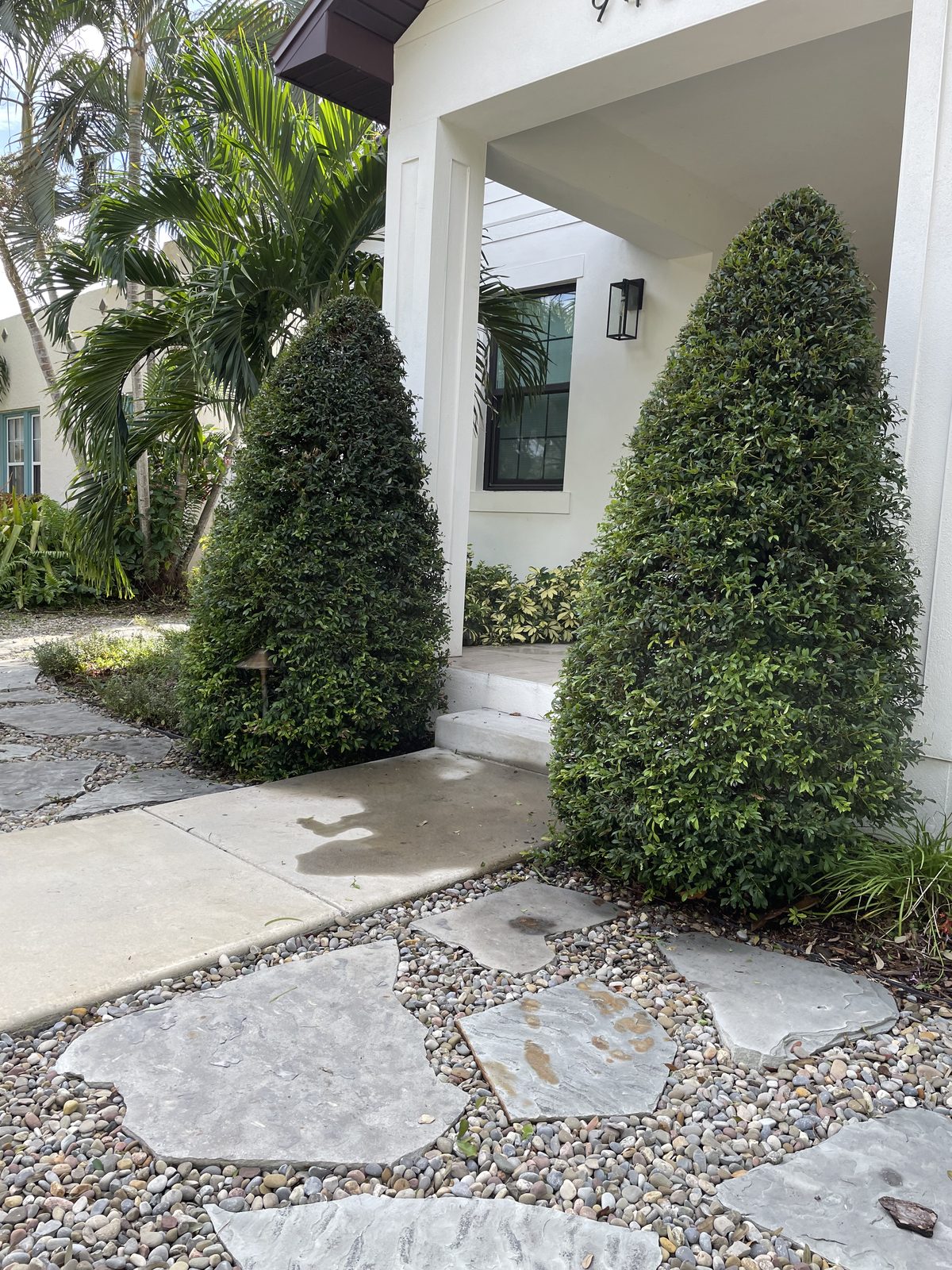 Sculpted plants framing a modern entrance and stone path