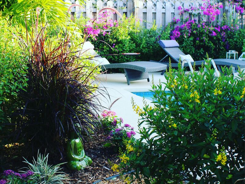 Curved stepping-stone path through a lush tropical garden