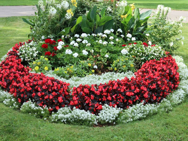 Concentric ring-shaped flower bed with red and white blooms