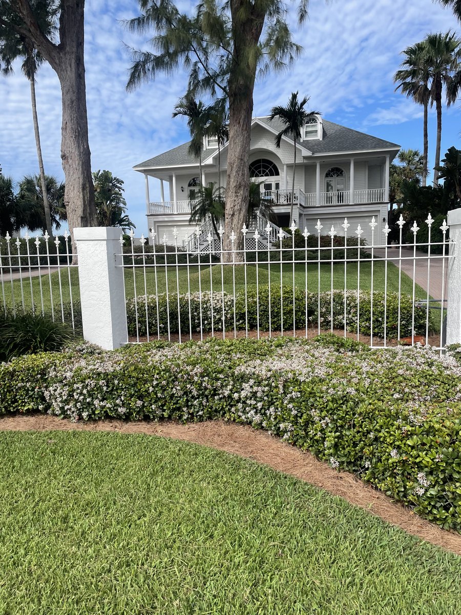 Flowering garden beds beside a white fence, lawn, and mature palms