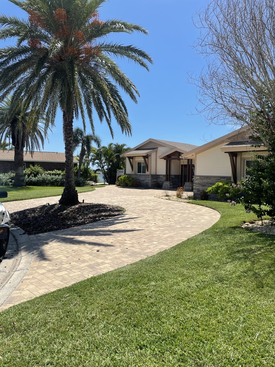 Royal palm crowns above a South Pinellas driveway